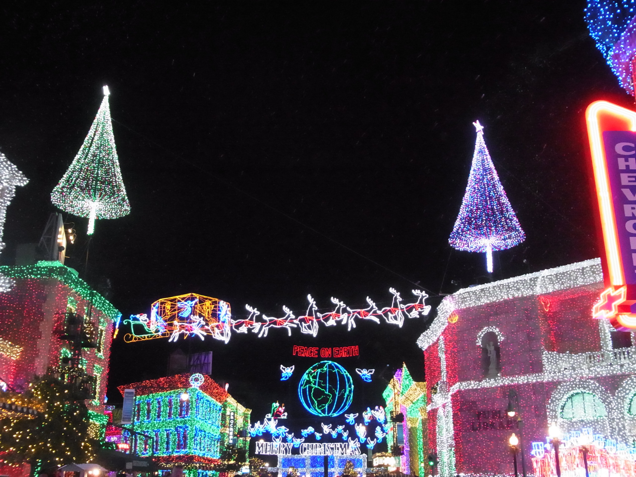 WDW旅行記 41 The Osborne Family Spectacle of Dancing Lights